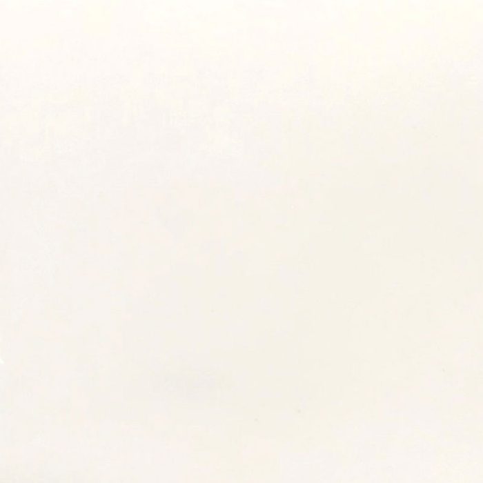 Arctic White