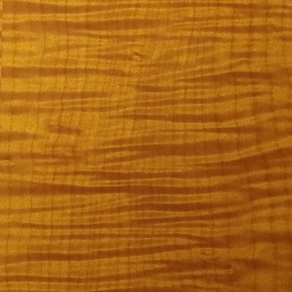 Nectarine
