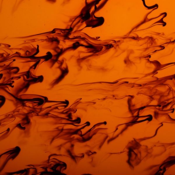 Amber Tortoise pickguard material