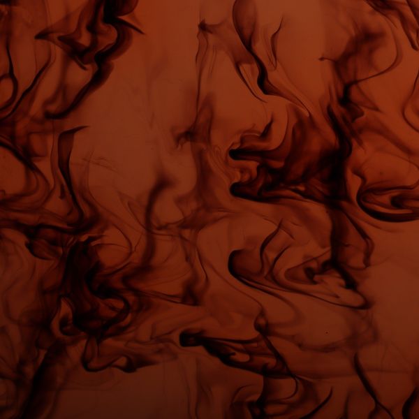 Auburn Tortoise pickguard material